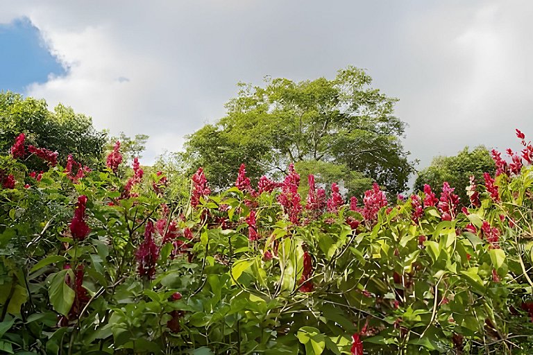 Gui8a| Casa com piscina em Secretário